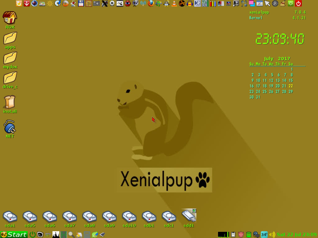 Xenialpup7.0.4Rev3FirstStartLook.jpg