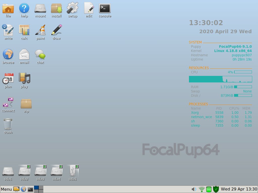 focalpup64-lite.jpg