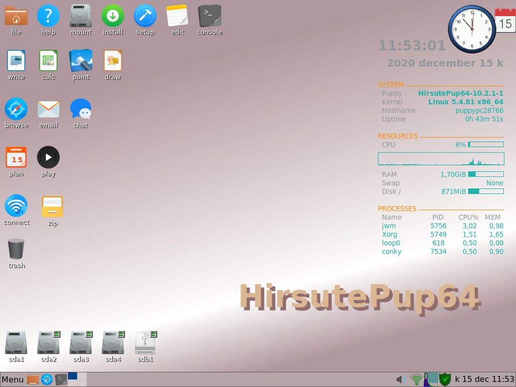 hirsutepup64.jpg