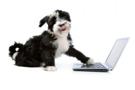 Puppy linux alapismeretek | C programozás #1